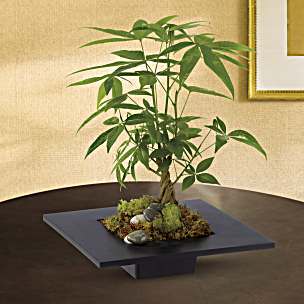Corporate Plants