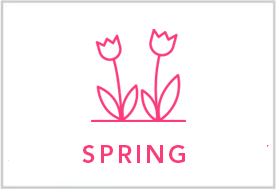 Shop Spring