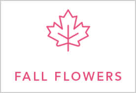 Shop Fall