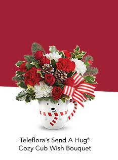Teleflora's Send A hug Cozy Cub Wish Bouquet