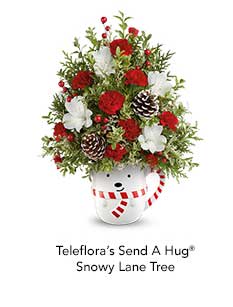 Teleflora's Send A Hug Snowy Lane Tree