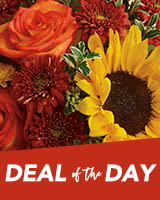 Deal of the Day Flowers