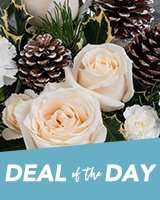 Deal of the Day Flowers