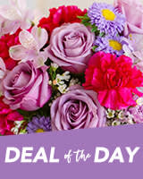 Deal of the Day Flowers