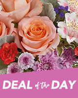 Deal of the Day Flowers