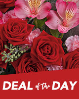 Deal of the Day Flowers