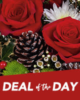 Deal of the Day Flowers