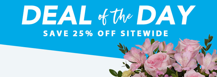 EASTER<br />DEAL OF THE DAY