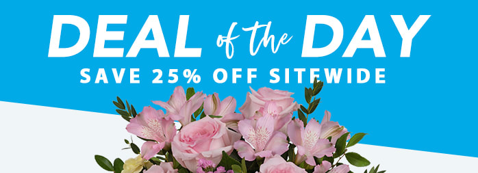 EASTER<br />DEAL OF THE DAY