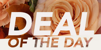 DEAL OF THE DAY