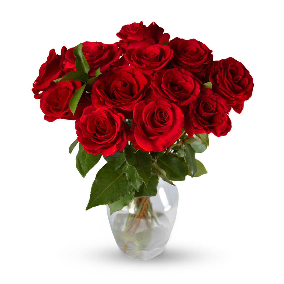 Farm Fresh Red Roses with Vase