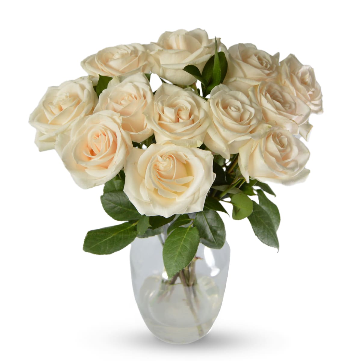 Farm Fresh White Roses with Vase