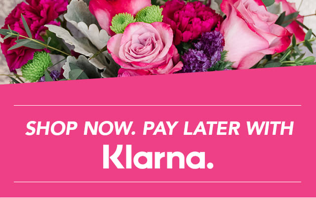 Shop Now. Pay Later with Klarna.