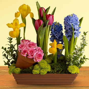 Spring Favorites