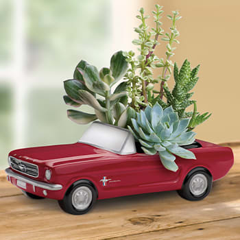 Dream Wheels '65 Ford Mustang by Teleflora