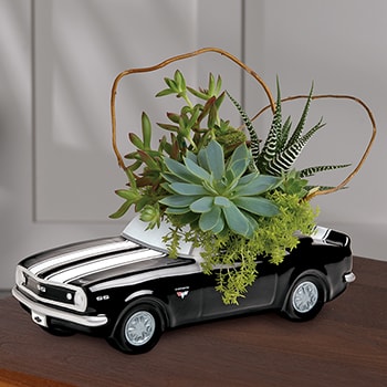 Teleflora's Chevy Camaro Plant Garden