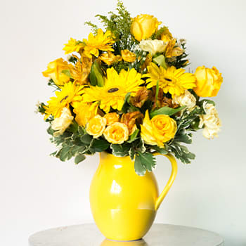 Teleflora's Sunny Day Pitcher of Daisies