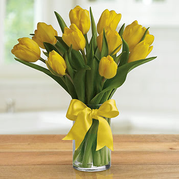 Sunny Yellow Tulips