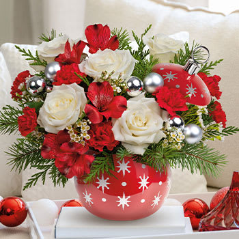 Merry Christmas Cactus