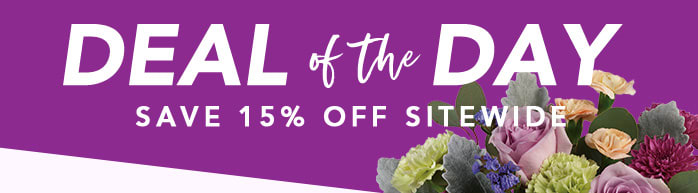 DEAL OF THE DAY