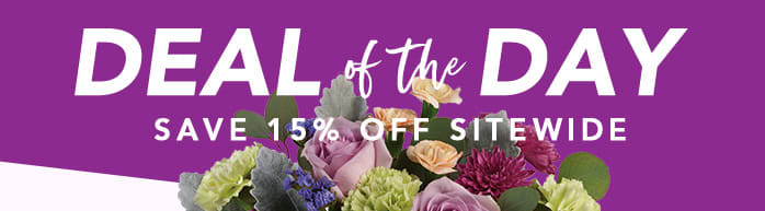 DEAL OF THE DAY