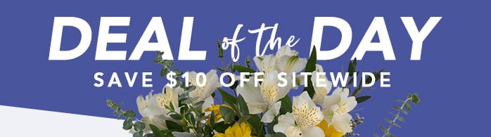 DEAL OF THE DAY