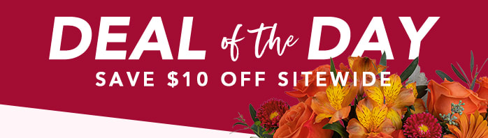 THANKSGIVING<br>DEAL OF THE DAY