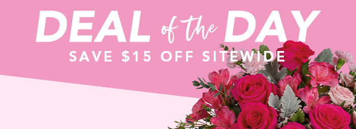 VALENTINE’S DAY DEAL OF THE DAY