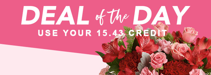 VALENTINE’S DAY DEAL OF THE DAY