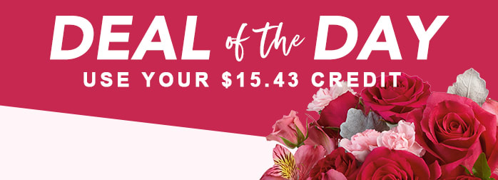 VALENTINE’S DAY DEAL OF THE DAY