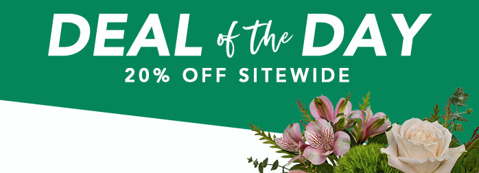DEAL OF THE DAY 