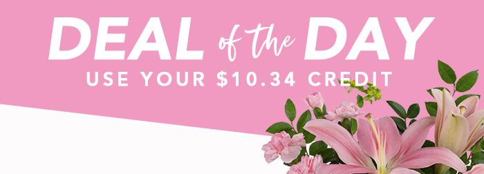 SUMMER DEAL OF THE DAY