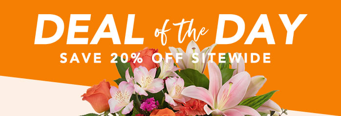 DEAL OF THE DAY