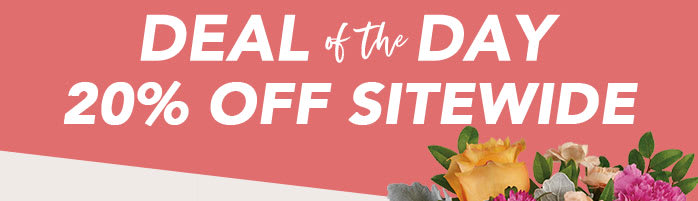 STEAL THIS DEAL
