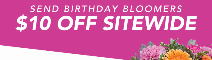 SEND BIRTHDAY BLOOMERS