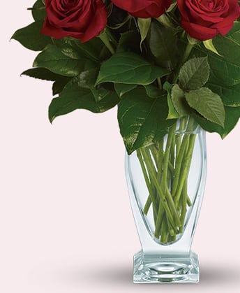 Teleflora's Rose Classique - Dozen Red Roses