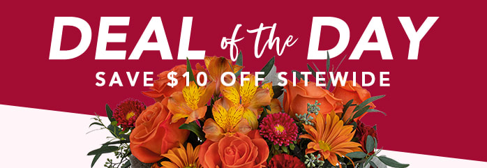 THANKSGIVING<br>DEAL OF THE DAY
