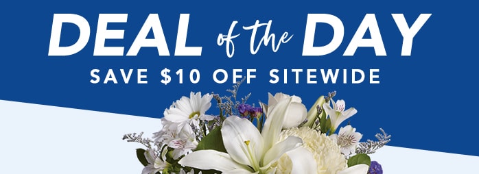 DEAL OF THE DAY