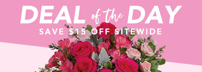 VALENTINE’S DAY DEAL OF THE DAY