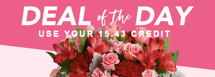 VALENTINE’S DAY DEAL OF THE DAY