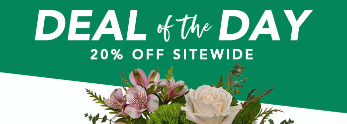 DEAL OF THE DAY 