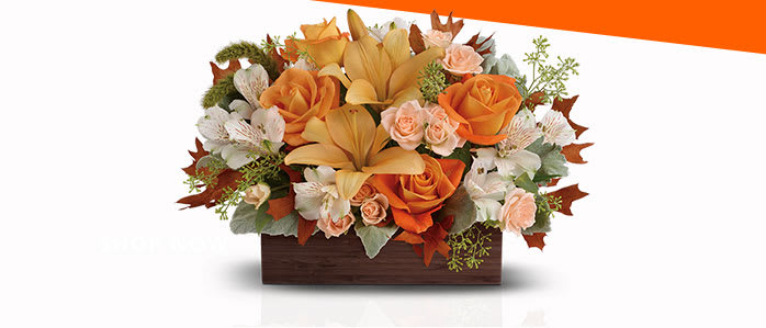 Teleflora's Fall Chic Bouquet
