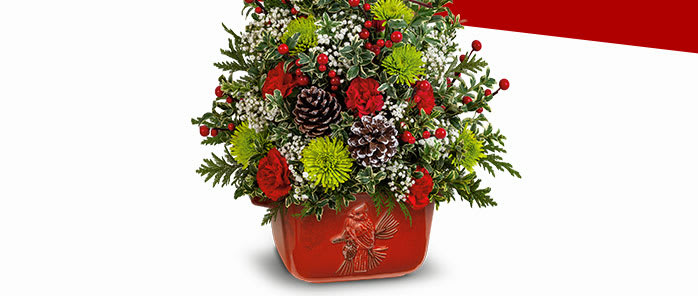 Teleflora's Cardinal Heirloom Tree