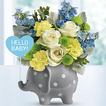 Teleflora's Hello Sweet Baby - Blue