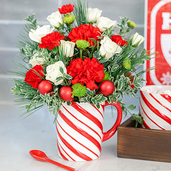 Teleflora's Send a Hug Candy Cane Greeting Bouquet