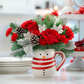 Teleflora's Send A Hug Christmas Frosty Bouquet
