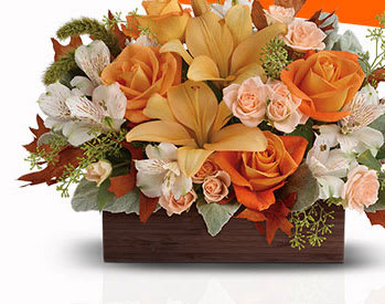 Teleflora's Fall Chic Bouquet