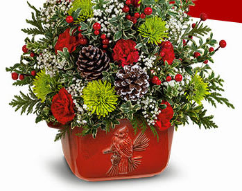 Teleflora's Cardinal Heirloom Tree