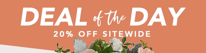 CATCH THE DEAL<br>OF THE DAY