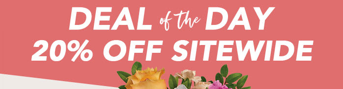 STEAL THIS DEAL